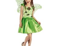 Αποκριάτικη Στολή νεράιδα(091026)