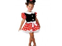 ΑΠΟΚΡΙΑΤΙΚΗ ΣΤΟΛΗ ΠΟΝΤΙΚΙΝΑ (029)