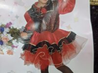 ΣΤΟΛΗ ΚΑΡΜΕΝΣΙΤΑ (94221)