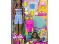 Mattel Barbie Brooklyn Camping (HDF74)