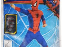 SPIDER-MAN CLASSIC(701826)